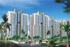 Photo of Apartment For sale in Gurgaon, Haryana, India - C-114, Ist Floor Palam Vyapar Kender, Palam Vihar
